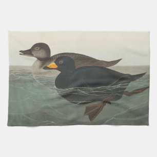 Linge De Cuisine Audubon American Scoter Duck Classic