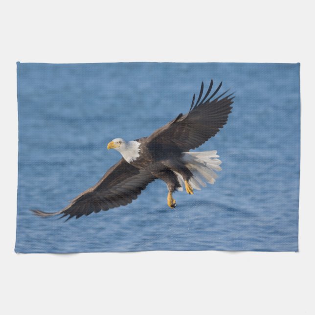 Linge De Cuisine Bald eagle in flight (Horizontal)
