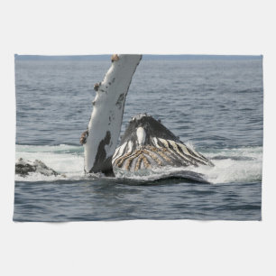 Linge De Cuisine Baleine à bosse
