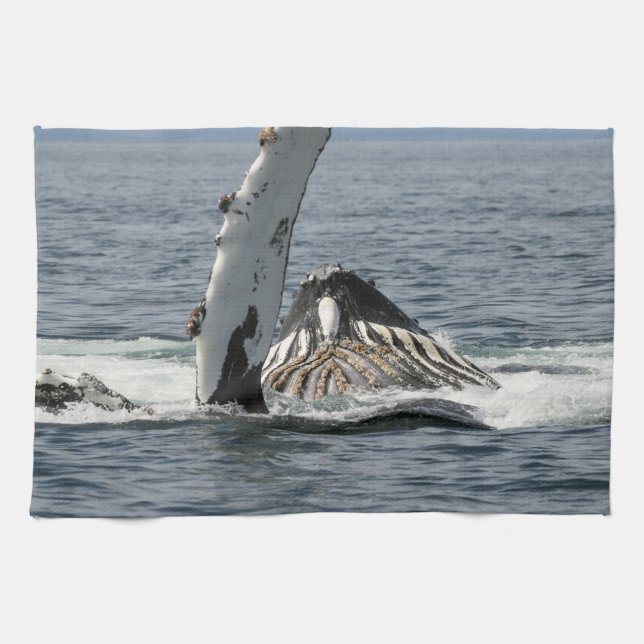 Linge De Cuisine Baleine à bosse (Horizontal)