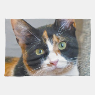 Linge De Cuisine Bandit