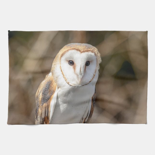 Linge De Cuisine Barn Owl (Horizontal)