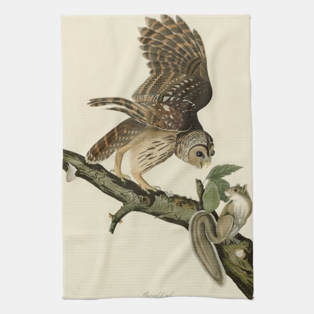 Linge De Cuisine Barred Owl, John James Audubon's Birds of America (Vertical)