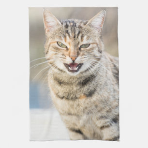 Linge De Cuisine Beau chat