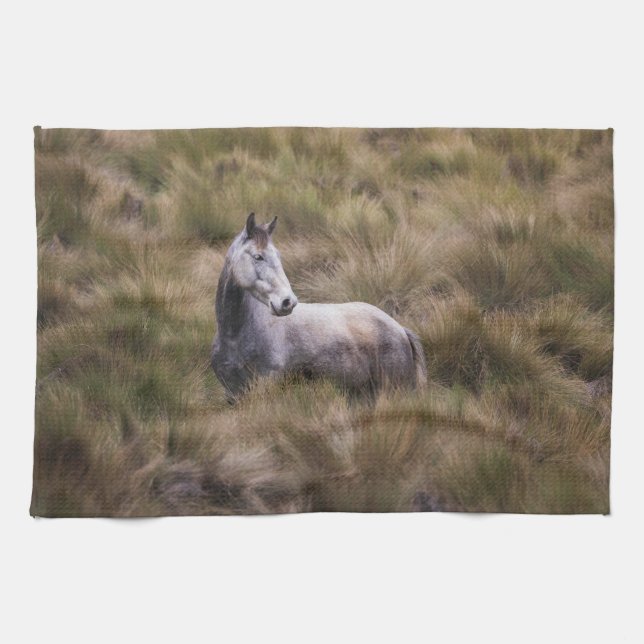 Linge De Cuisine Beau cheval de couleur grise (Horizontal)
