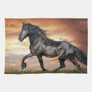 Linge De Cuisine Beau Cheval Noir