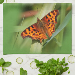 Linge De Cuisine Beautiful Orange Satyr Comma Butterfly