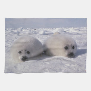 Cadeaux Bebe Phoque Blanc Zazzle Fr