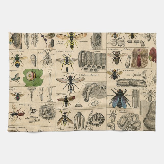 Linge De Cuisine Bee Insect Bug Wasp Natural History Bees (Horizontal)
