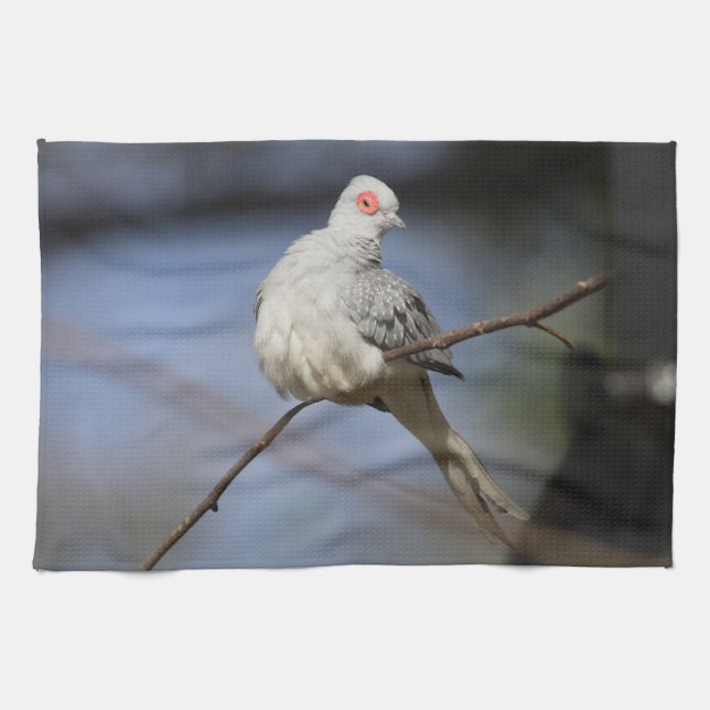 Linge De Cuisine Belle douceur Diamond Dove (Horizontal)