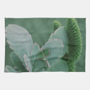Linge De Cuisine Belle photo d'art Plante du désert
