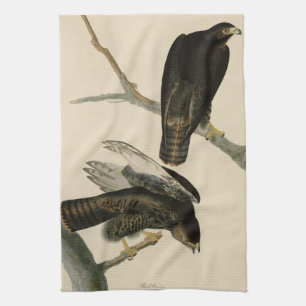 Linge De Cuisine Black Warrior (Buse à queue rouge) d'Audubon Birds