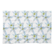 Blooms de la Plumeria blanche