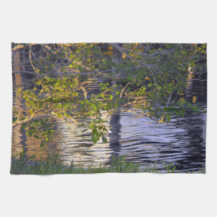 Linge De Cuisine Branches d'arbre, Lumière du soleil, Reflet