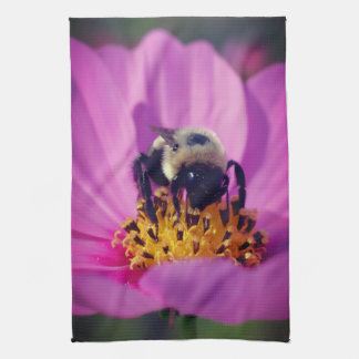 Linge De Cuisine Bumble Bee On Cosmos