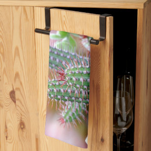 Linge De Cuisine cactus