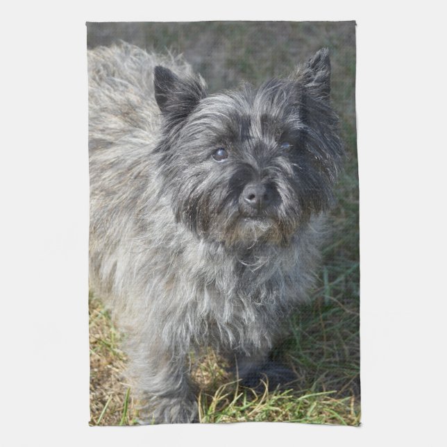 Linge De Cuisine Cairn Terrier noir (Vertical)