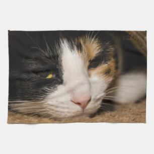 Linge De Cuisine Calico Face