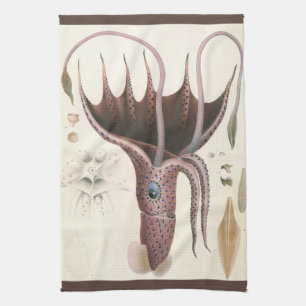 Linge De Cuisine Calmar Parasol, Animaux Marins Vintage