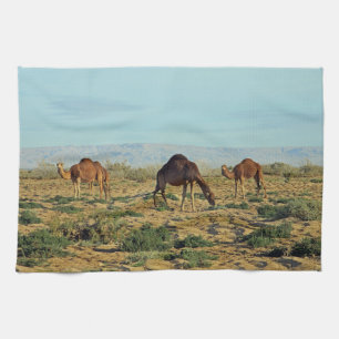 Linge De Cuisine Camels, Tunisie