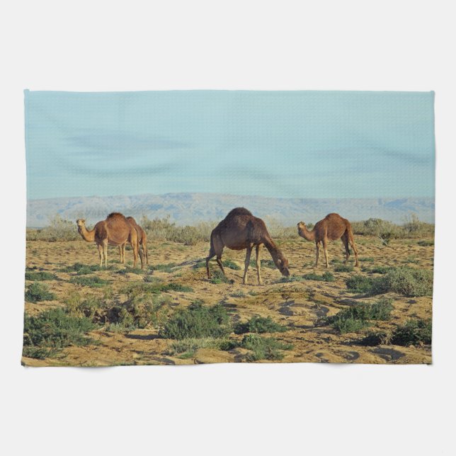Linge De Cuisine Camels, Tunisie (Horizontal)