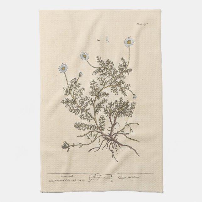 Linge De Cuisine Camomille par Elizabeth Blackwell (Vertical)