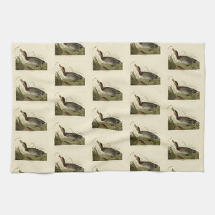 Linge De Cuisine Canard (Brewer's) dépecé, Audubon Birds Amérique