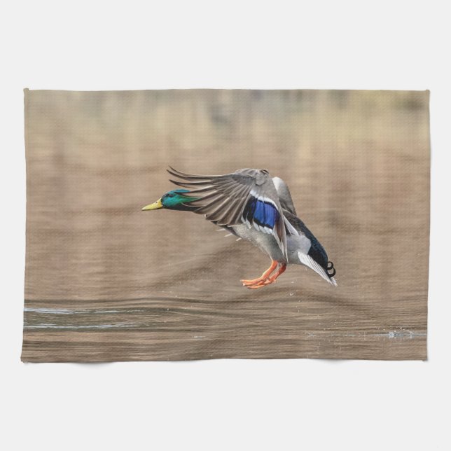 Linge De Cuisine Canard de Mallard en vol (Horizontal)