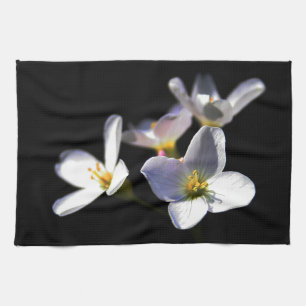 Linge De Cuisine Cardamine Pratensis Fleurs kta