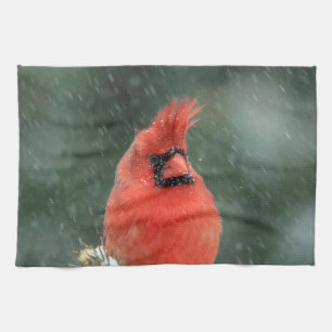 Linge De Cuisine Cardinal dans un pin pendant une tempête de neige