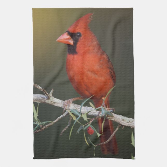 Linge De Cuisine Cardinal rouge, Cardinalis cardinalis, mâle (Vertical)