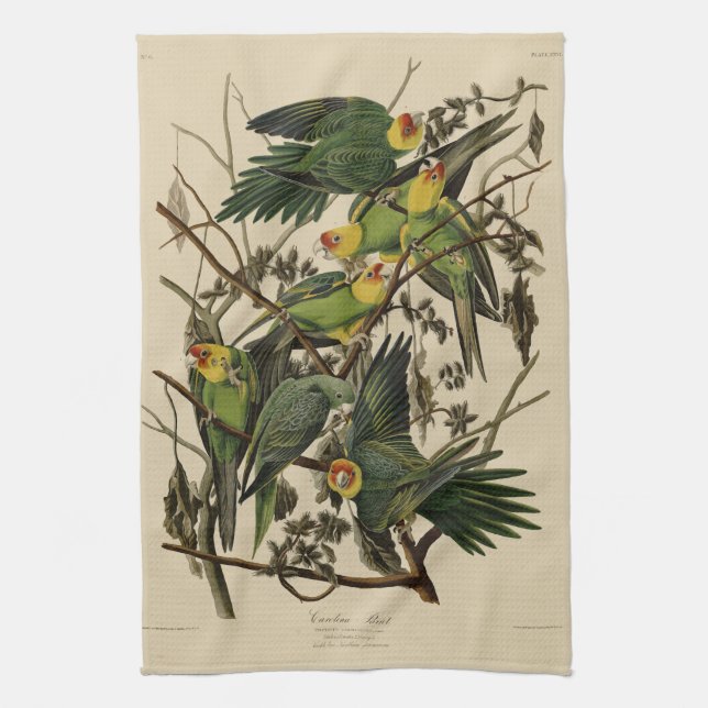 Linge De Cuisine Carolina Parrot de Audubon's Birds of America (Vertical)