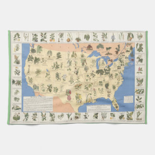 Linge De Cuisine Carte des remèdes à base de plantes laminées se