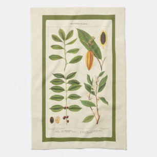Linge De Cuisine Carte Plante du café Thé antique Botanique Boisson