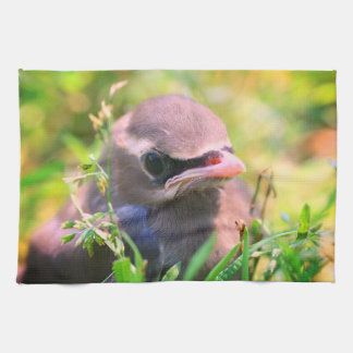 Linge De Cuisine Cèdre jaune cire oiseau naissant