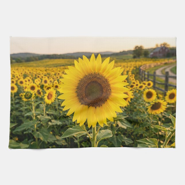 Linge De Cuisine Champ de Tournesols (Horizontal)