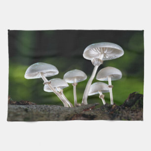 Linge De Cuisine Champignons d'automne de l'huître blanche