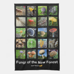 Linge De Cuisine Champignons du nouveau teatowel de forêt