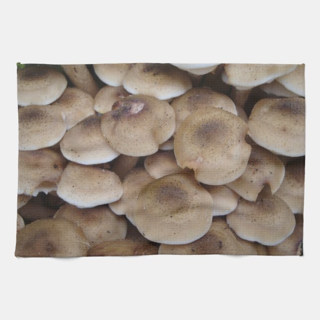 Linge De Cuisine Champignons poussant dans une grappe d'art photo o (Horizontal)
