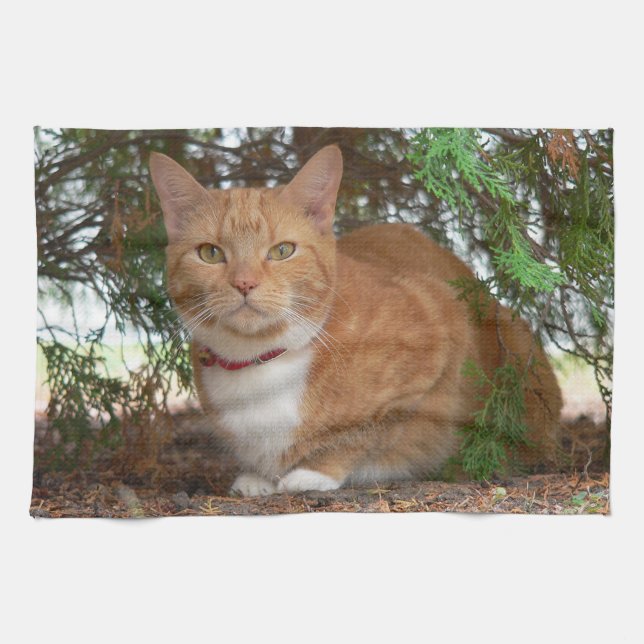 Linge De Cuisine Chat domestique orange gingembre tabby (Horizontal)
