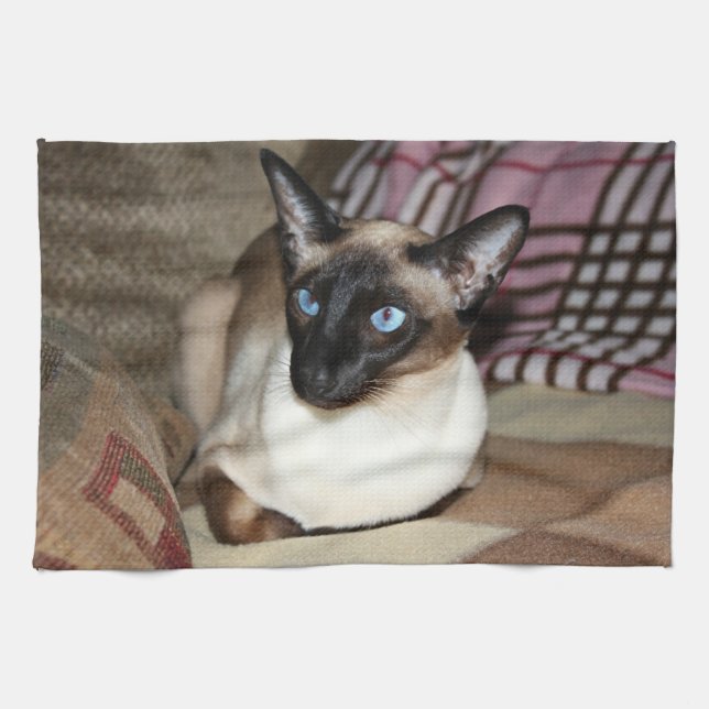 Linge De Cuisine Chat siamois détendant sur le divan (Horizontal)