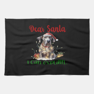 Linge De Cuisine Cher Père Noël, je peux expliquer Great Dane T-Shi