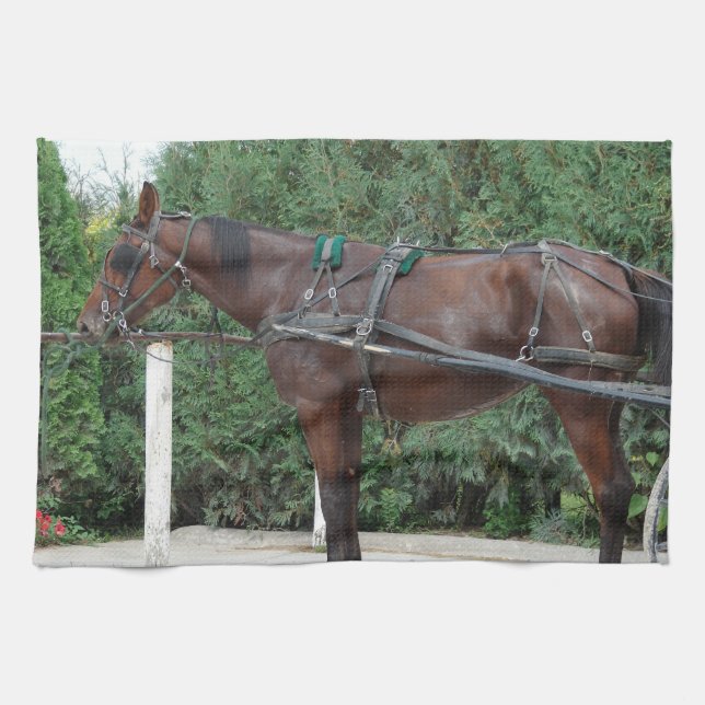 Linge De Cuisine Cheval Amish (Horizontal)