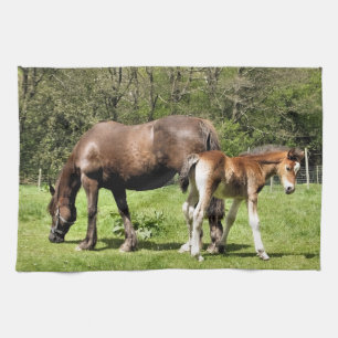 LINGE DE CUISINE CHEVAUX