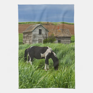 Linge De Cuisine Chevaux dans un champ dans la Palouse 2