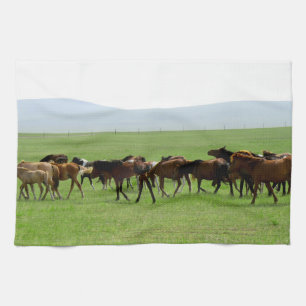 Linge De Cuisine Chevaux sur le pâturage - Photographie du paysage