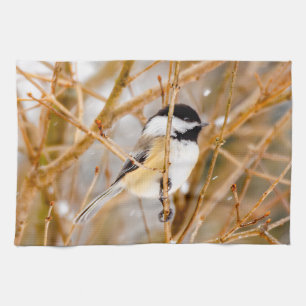 Linge De Cuisine Chickadee au plafond noir - Photo originale