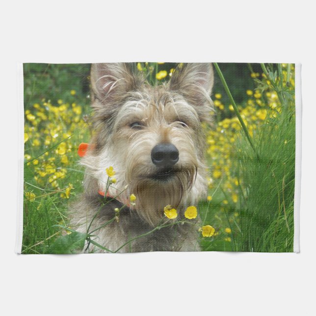Linge De Cuisine Chien de Berger Picard (Horizontal)