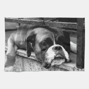 Linge De Cuisine Chien de boxe sur Windowsill ktm