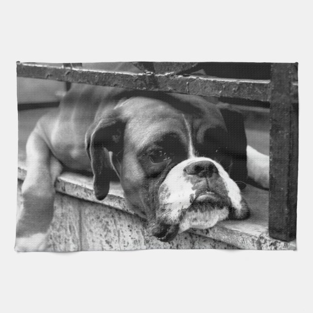 Linge De Cuisine Chien de boxe sur Windowsill ktm (Horizontal)